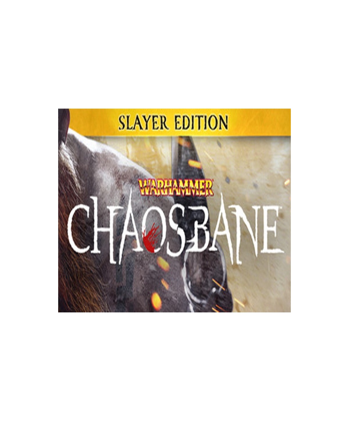 Warhammer: Chaosbane Slayer Edition Steam Key EUROPE